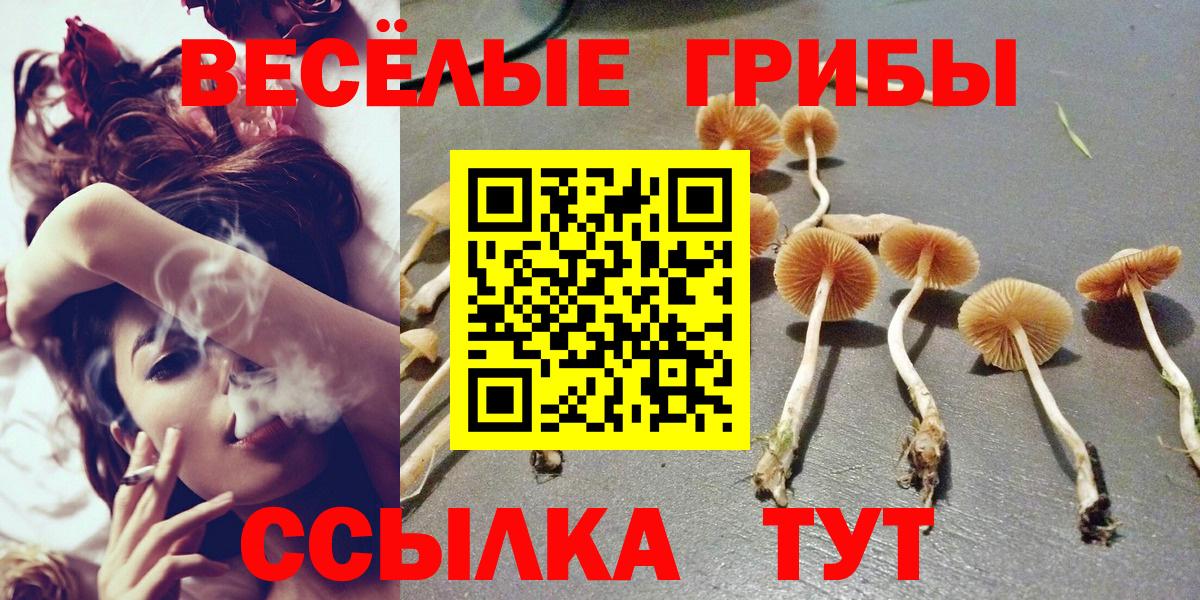 Галлюциногенные грибы Psilocybine cubensis  продажа наркотиков  Вход с VPN  Шебекино  Галлюциногенные грибы Cubensis 